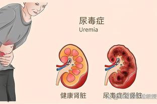 开云综合在线登入官网截图0